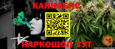 стафф Новокубанск