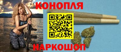 соль ск Новозыбков
