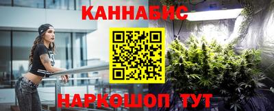 стафф Новокубанск
