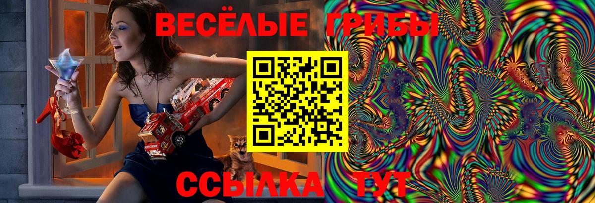 Галлюциногенные грибы ЛСД Унеча