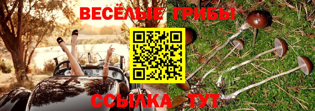 Псилоцибиновые грибы Psilocybine cubensis  Вход с VPN  Унеча 